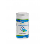Canina Petvital Arthro 60 compresse