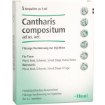 Cantharis Compositum veterinario conf. -FIALE 5 X 5ML